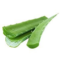 Aloevera