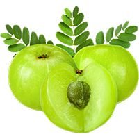 Amla