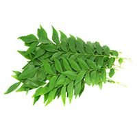 Curryleaf