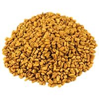 Fenugreek