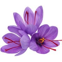 Saffron (2)
