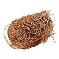 Vetiver
