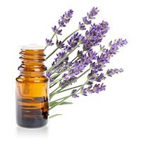 lavender-oil