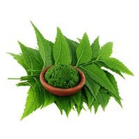 neem-powder