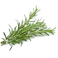 rosemary